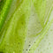Зелен Органза Плат с Блестящи Точки | Ширина - 150см