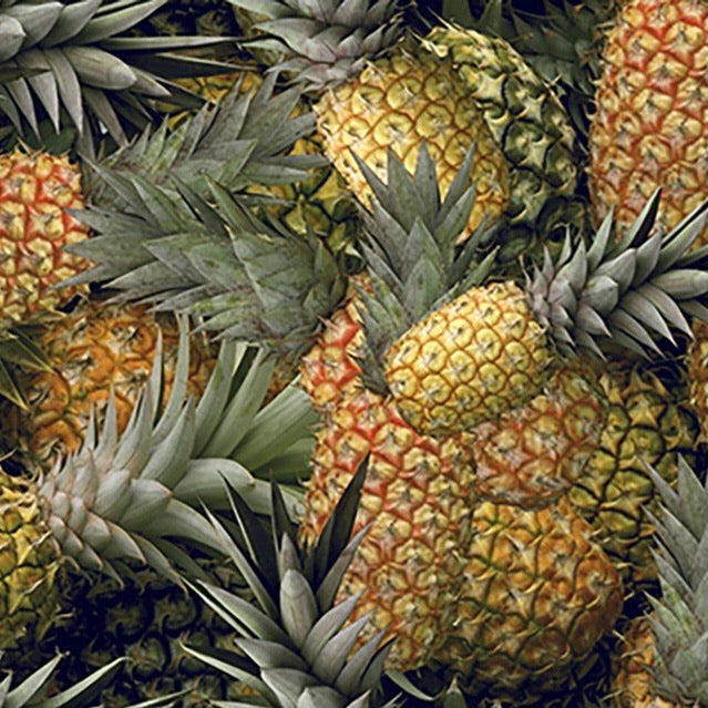 Pineapples Cotton Fabric | Width - 150cm/59inch - Shop Fabrics, Cushions & Dressmaking Supplies online - Fabric Family